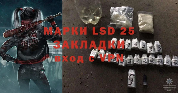 гашик Белокуриха