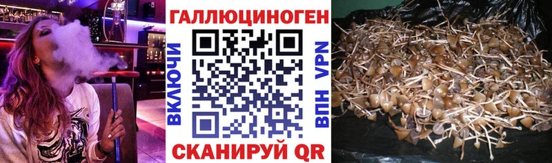 Галлюциногенные грибы мухоморы  где продают   Кондрово 